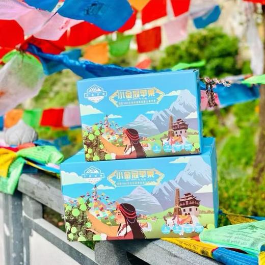 【果蔬精选】藏地高原青苹果 高原小金冠苹果 皮薄不涩 果香清雅 脆爽多汁 连皮都好吃 错过再等一年 商品图6