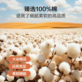 博洋家纺开学季纯棉学生宿舍床铺三件套单人全棉床单套件途120cm 商品图0