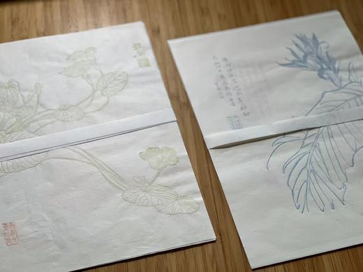 《龢庵花笺》、《毅然花笺》—— 名动文美斋  流光杨柳青 商品图1