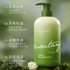 BISUTANG碧素堂柔顺控油洗发水 去屑止痒 清爽控油 白松露洗发水500ml 商品缩略图1