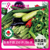 年卡蔬菜250斤有机蔬菜吃一年 商品缩略图0