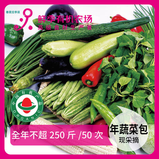 年卡蔬菜250斤有机蔬菜吃一年 商品图0