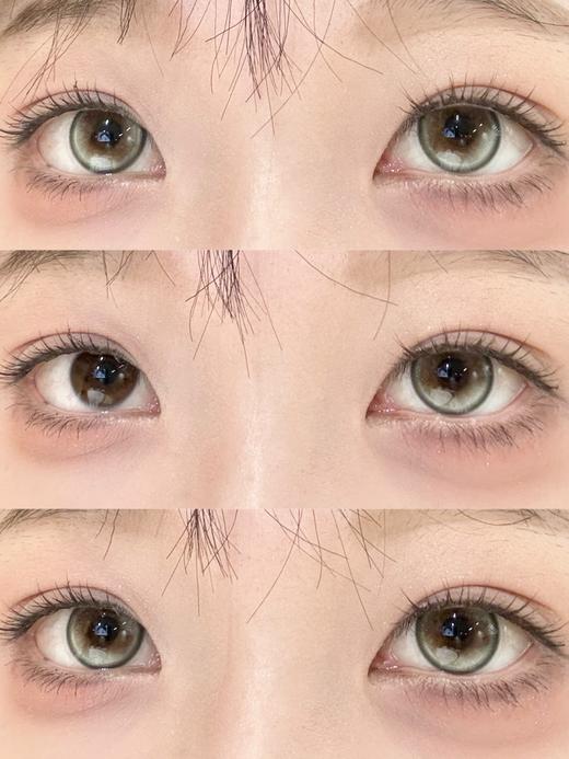 Annieone月抛-黛莉的猫 商品图9