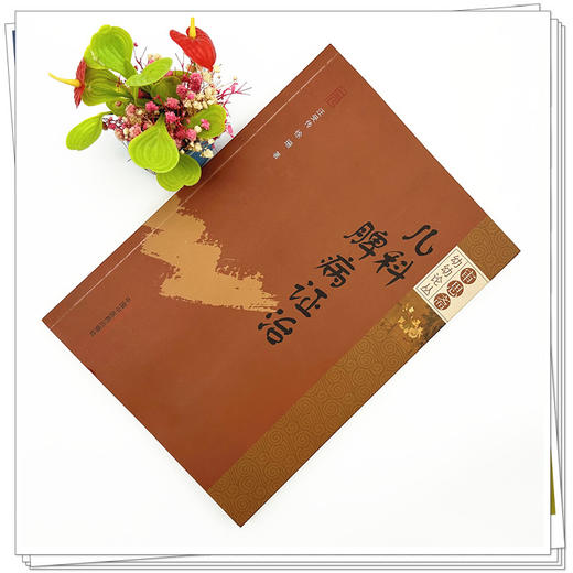 儿科脾病证治 审思斋幼幼论丛 汪受传 徐珊 著 中国中医药出版社 商品图1