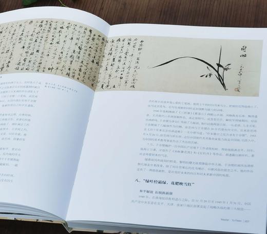 《艺术巨匠：于非闇》，小8开，软精装，王健编著，颂雅风出品，河北教育出版社2012年一版一印，231页，定价138，售价88 商品图10