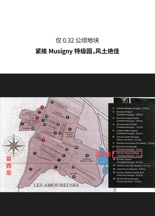 贝尔托酒庄香波慕西尼一级园爱侣园红葡萄酒 2020 Domaine Bertheau Les Amoureuses Chambolle Musigny Premier Cru 商品图3