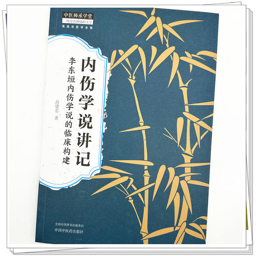 内伤学说讲记：李东垣内伤学说的临床构建  高建忠 著 高建忠医学全集 中国中医药出版社 书籍 商品图3