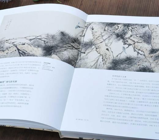 《艺术巨匠：于非闇》，小8开，软精装，王健编著，颂雅风出品，河北教育出版社2012年一版一印，231页，定价138，售价88 商品图6