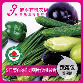 蔬菜体验包 随机蔬菜包5斤6-8样