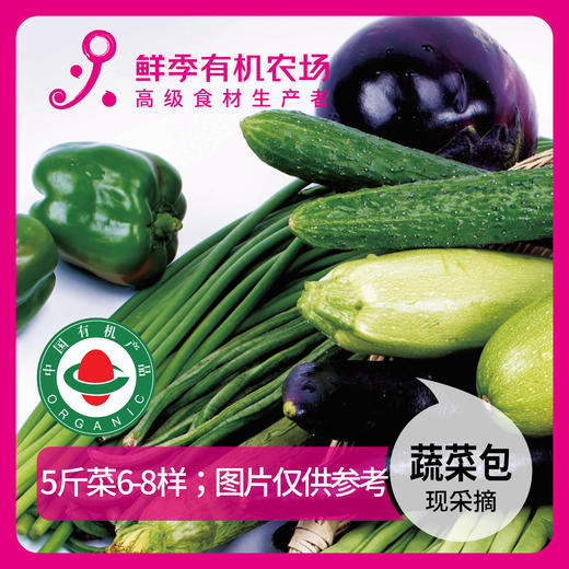 蔬菜体验包 随机蔬菜包5斤6-8样 商品图0