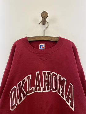 90年代 Vintage RUSSELL ATHLETIC 罗素 老鹰牌 美国制 卫衣 _SLSS(L)