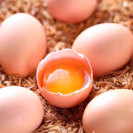 土鸡蛋（30枚礼盒） 商品图2