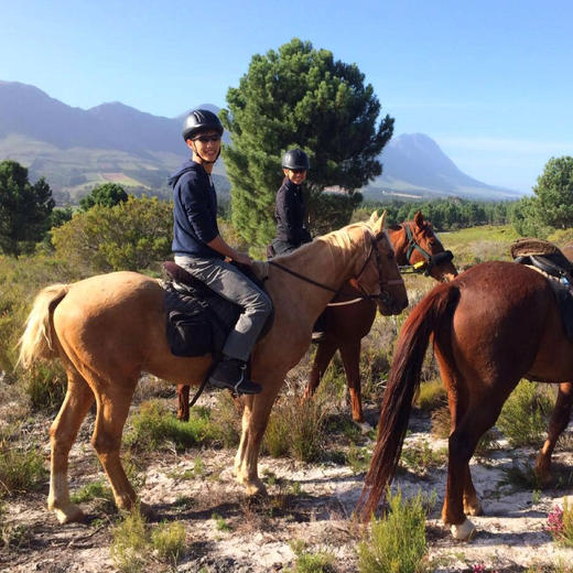 南非 | 全景花园大道9天8晚 商品图6