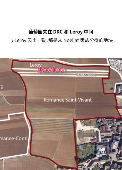 孔弗宏酒庄罗曼尼圣维旺特级园红葡萄酒 2020 Domaine Jean Jacques Confuron Romanee Saint Vivant Grand Cru 商品图1