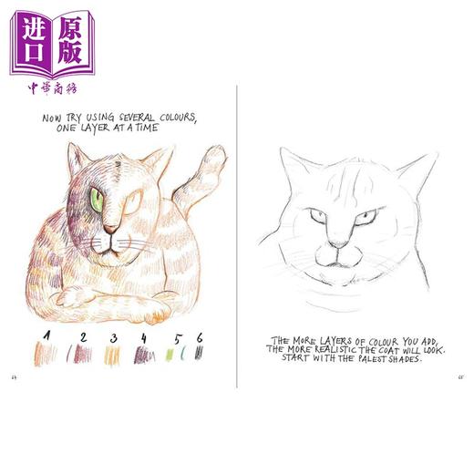 预售 【中商原版】I Can Draw Cats 进口艺术 猫咪绘画指南 T&H 商品图4