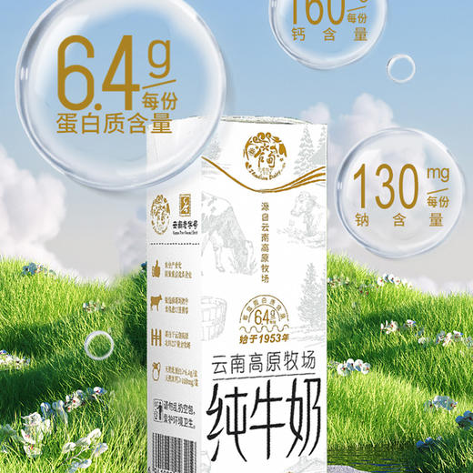 云品【乍甸】3.2蛋白小白金纯牛奶  200g*6瓶/件 商品图1