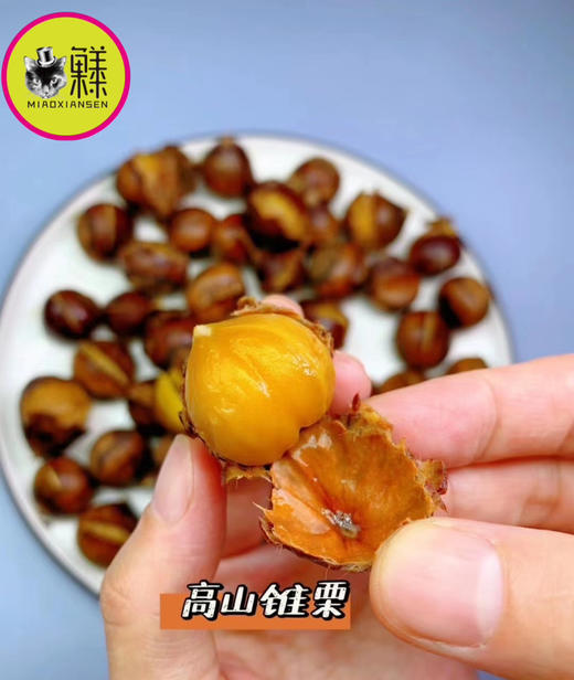 📦高山锥栗3-5斤装带工具（赏味9-11月）产地直发 商品图4