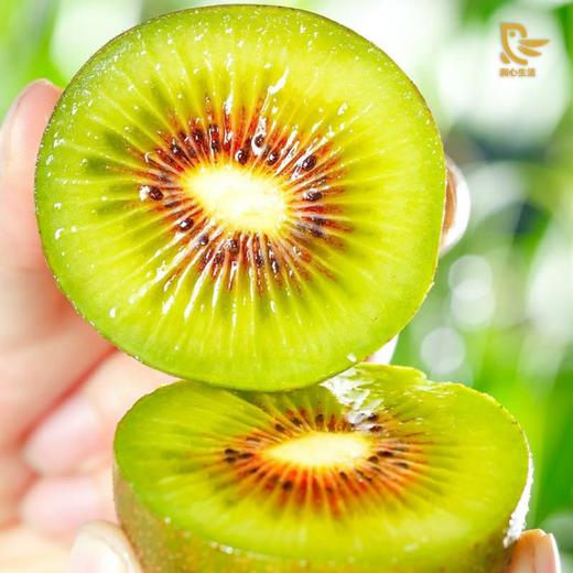 红心猕猴桃 甜蜜多汁 营养丰富 孕妇宝宝喜爱 小包装尝鲜 （8枚/盒）^@^ 商品图2