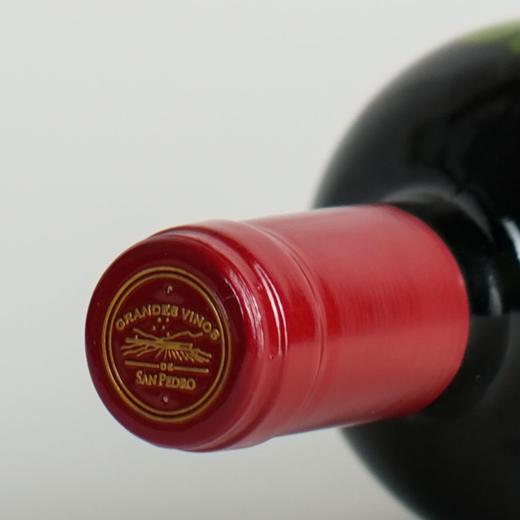 智利十八罗汉2011/2016年天鹰干红老酒商务招待送礼收藏周年纪念 商品图5