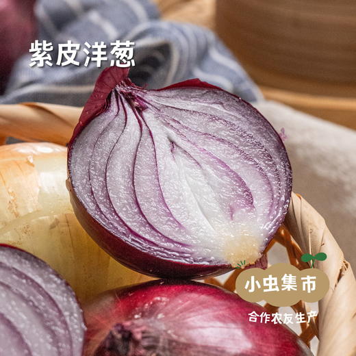 新疆有机三色洋葱 5斤（紫/黄/白三色）| 合作农友生产，产自新疆库尔勒，生产者：王忠军 *【公平贸易农人定价】 商品图10