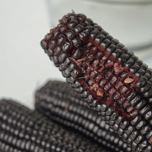 【非转基因 软糯香甜 】【2025年新玉米】东北特产黑糯玉米 8支装/箱 新鲜采摘 锁鲜包装 富含花青素 天然健康 营养丰富 优质早餐粗粮 商品图5