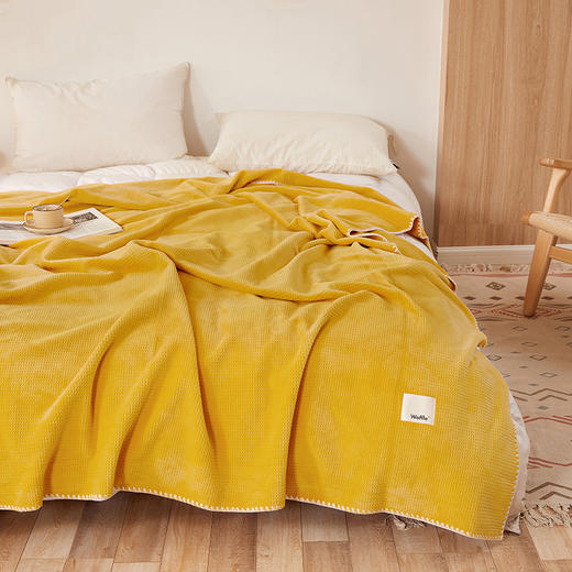 有质检2025新款轻奢华夫格绒毛毯午睡休闲被子素纯色牛奶绒小盖毯 商品图8