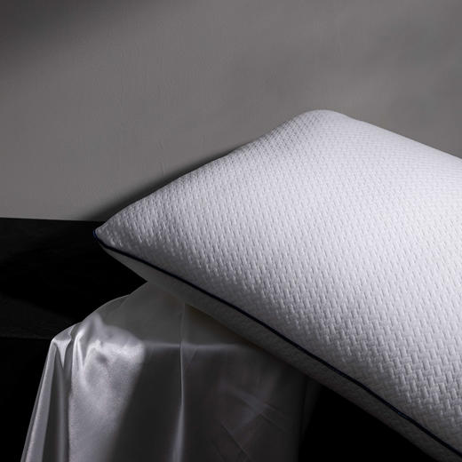 【远梦】抗菌针织水洗枕 商品图4