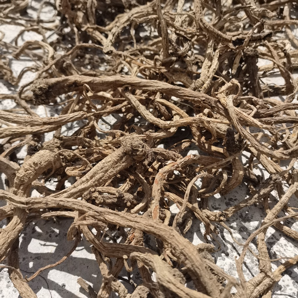 有时遇见熊-野生党参-半斤168元-每斤328元