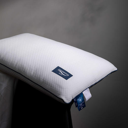 【远梦】抗菌针织水洗枕 商品图6