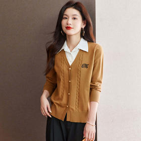 CC-66-5821衬衫女士春秋季2024年新款别致洋气时尚假两件针织衫上衣长袖衬衣