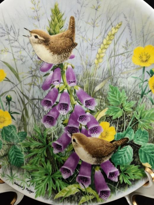 英国皇家道尔顿限量鸟类骨瓷赏盘，由Maurice J. Pledger创作的树篱间的鸟系列 商品图13