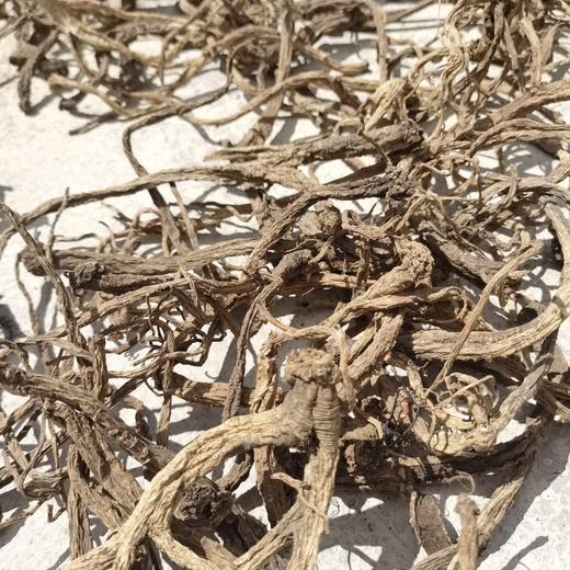 有时遇见熊-野生党参-半斤168元-每斤328元 商品图1