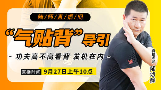 “气贴背”导引（长期观看学习） 商品图0