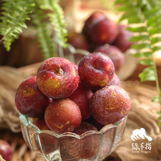 生态红脆李  | 合作生产*  Ecological Red crispy plum | Coprodution 商品图3