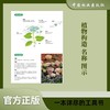 花园植物大图典1532 商品缩略图3