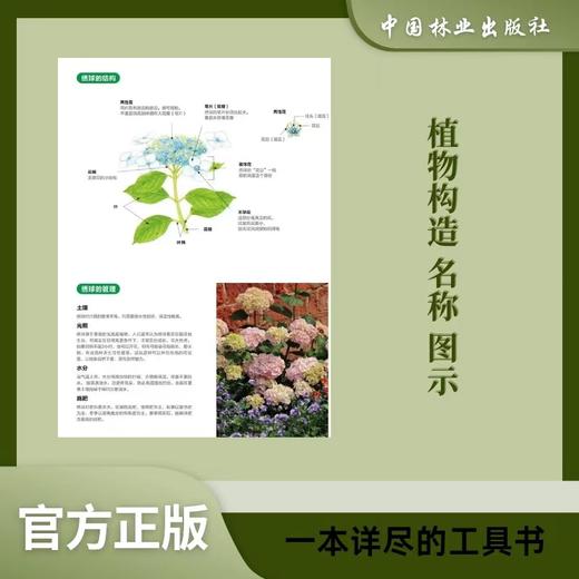 花园植物大图典1532 商品图3