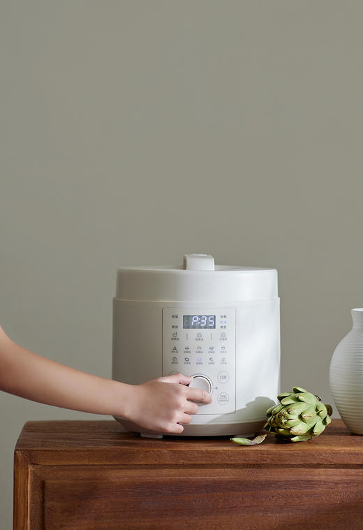 olayks立时日韩定制同款电压力锅家用5L大容量多功能高压锅饭煲锅 商品图2