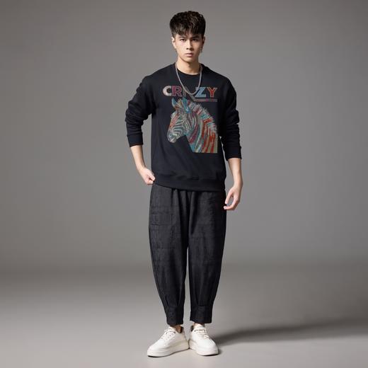 PINLI品立秋季新款男士宽松圆领落肩斑马字母烫钻套头卫衣潮BG243109033 商品图1