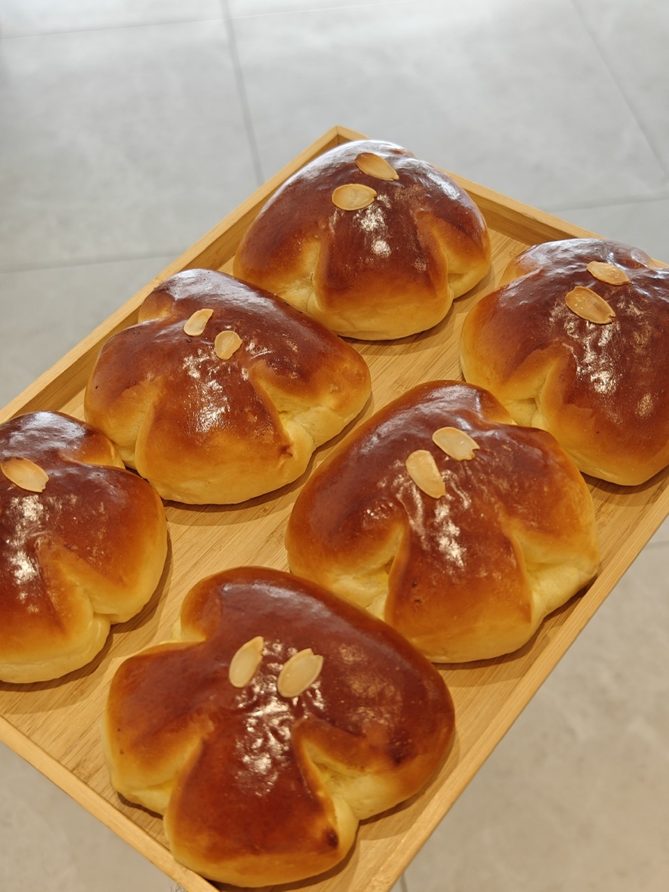 椰子熊掌云朵包