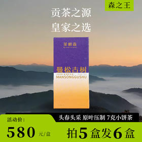 2024曼松古树 森之王 春茶现货 普洱茶 生茶 14g/盒