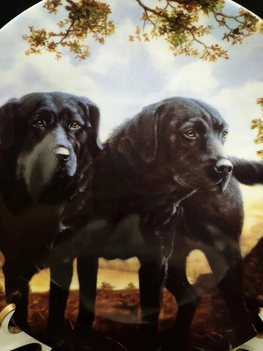 英国威基伍德骨瓷赏盘，John Silver创作的黑色拉布拉多系列 商品图7