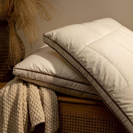 【远梦】1995羊毛呵护枕 商品图1