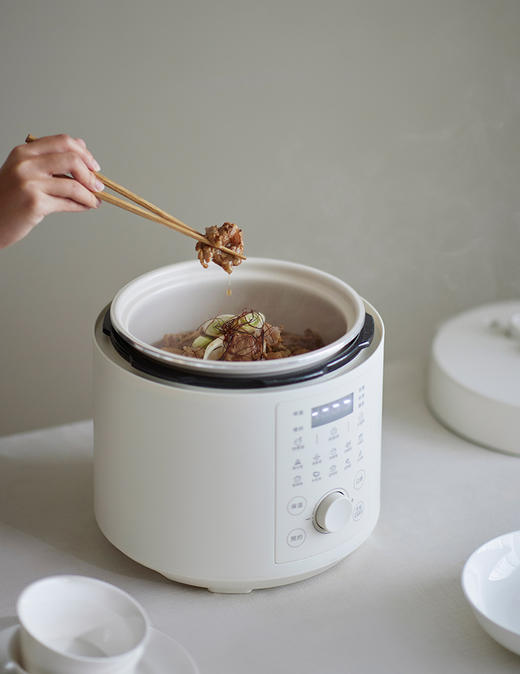 olayks立时日韩定制同款电压力锅家用5L大容量多功能高压锅饭煲锅 商品图3