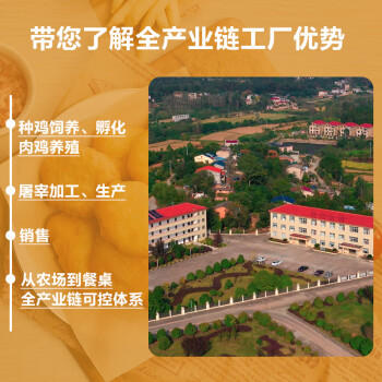 正大食品（CP）金香鸡柳1.6斤  鸡柳大人无骨鸡肉炸鸡柳 空气炸锅半成品鸡块 商品图4