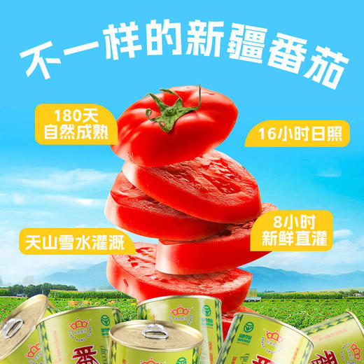 【25年新货】新疆冠农番茄丁400g 零添加 新鲜去皮 西红柿 番茄      京东/顺丰发货   不接受指定 商品图1