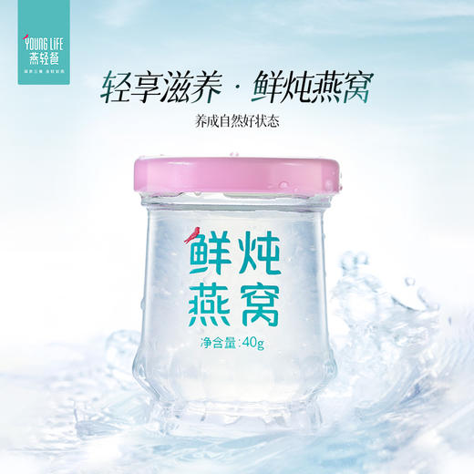 燕轻餐·鲜炖燕窝（无糖款）40g*7瓶养颜孕妇营养即食可溯源送礼 商品图0