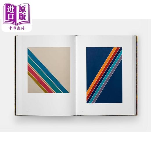 预售 【中商原版】Sam Gilliam 进口艺术 美国抽象画家萨姆吉列姆 Phaidon Press 商品图3