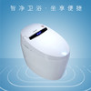 桑乐（SANGLE）智能坐便器SZ8101Q 商品缩略图0