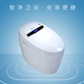 桑乐（SANGLE）智能坐便器SZ8101Q