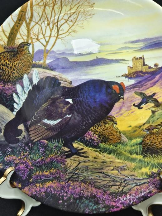英国皇家格拉夫顿限量骨瓷赏盘，Derek Braithwaite的猎鸟系列 商品图9